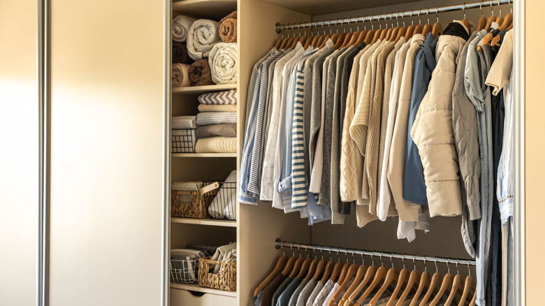 neat closet holding neutral clothes