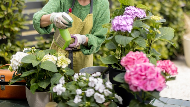 woman spraying pesticide