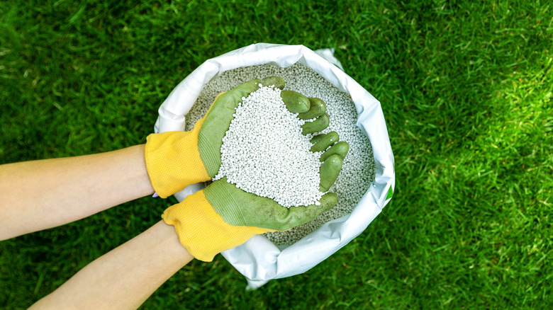 Person holding fertilizer in lawn