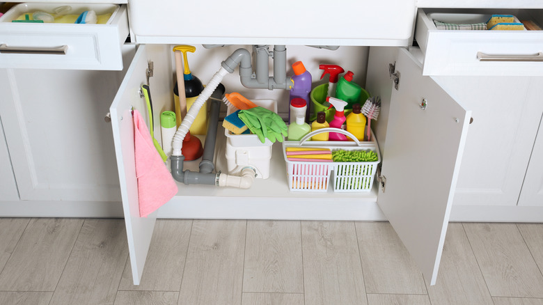 messy under sink cabinet