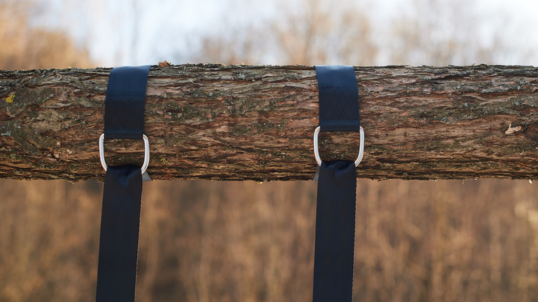 Hanging straps on a tree