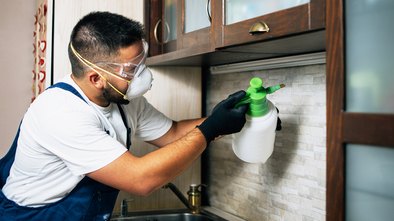 Exterminator spraying kitchen