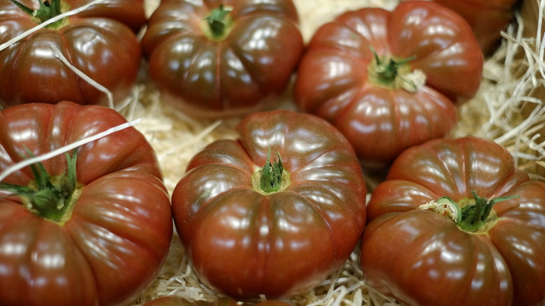 Cherokee purple tomatoes