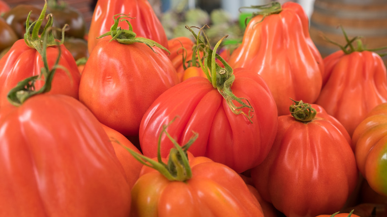 Oxheart tomatoes