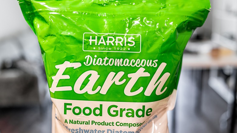 bag of diatomaceous earth