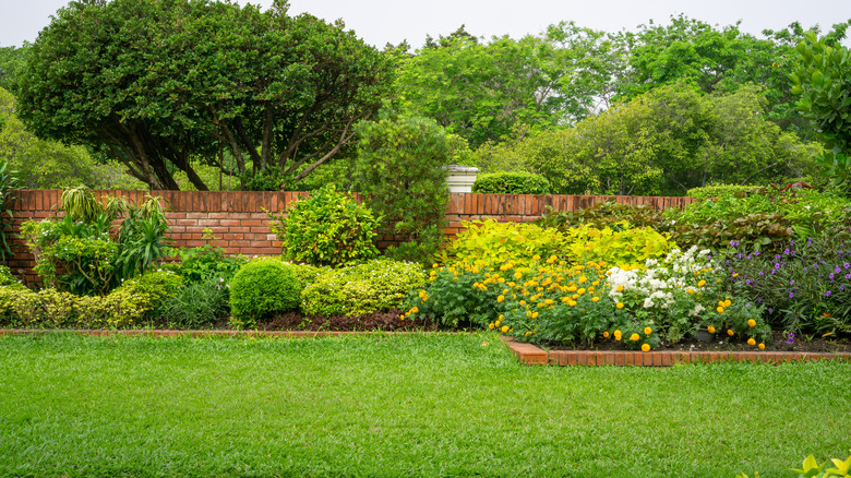 lawn with flowers and shrubs