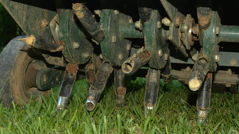 core aerator tines with soil
