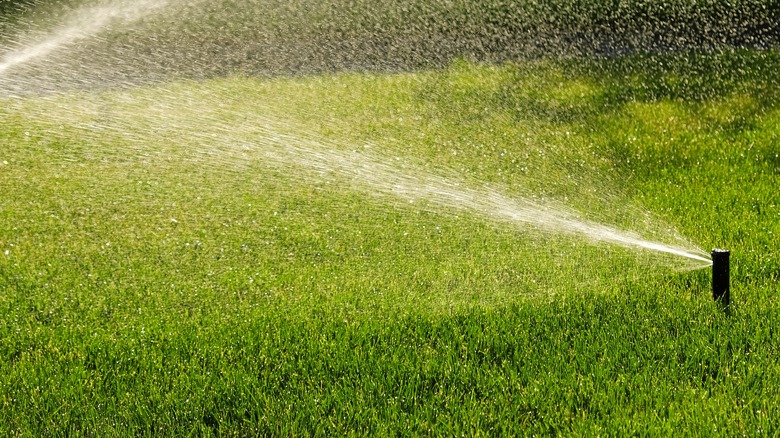 sprinkler spraying water across lawn