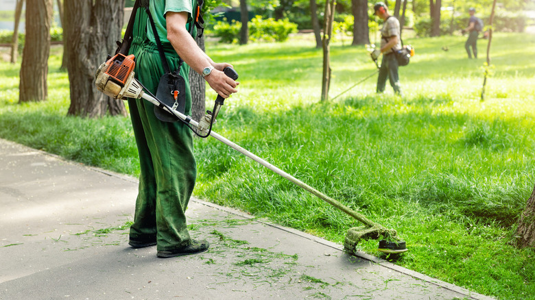 person trimming lawn edges