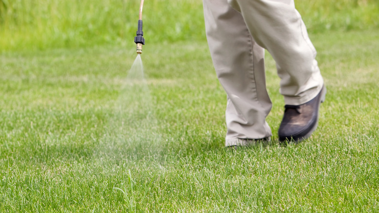 Person spraying herbicides