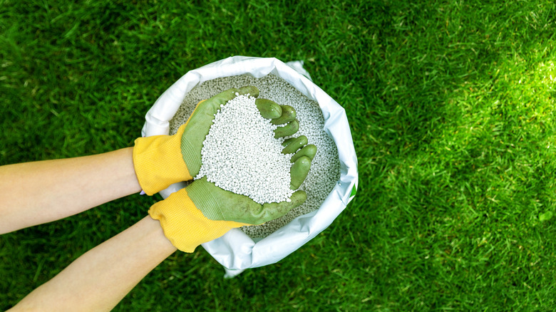 close up of lawn fertilizer