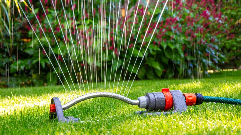 Oscillating sprinkler on grass