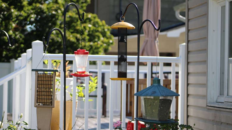 bird feeders on hooks