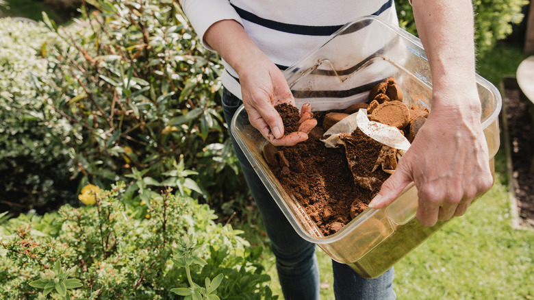 someone holding coffee grounds garden