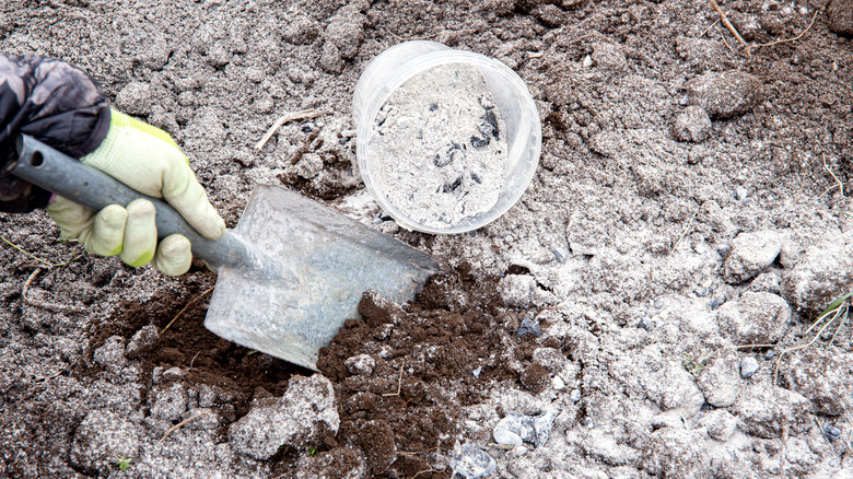 soil with wood ash