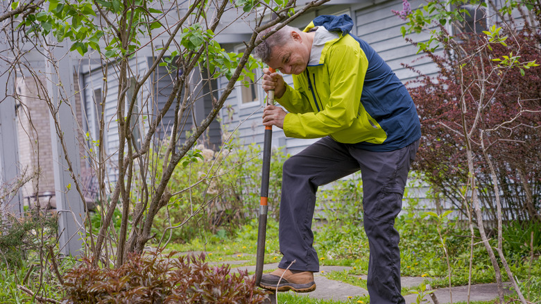 man digging near lilac