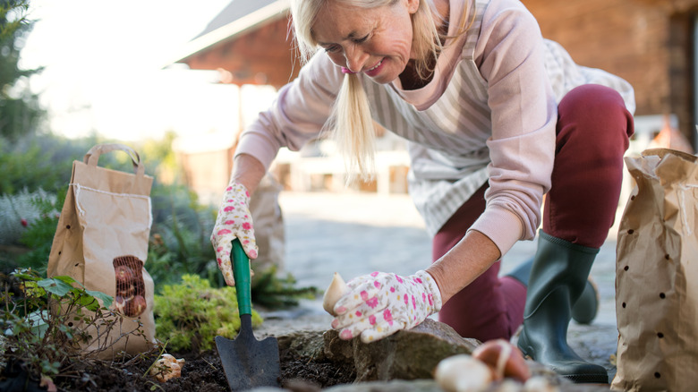 woman planting bulb