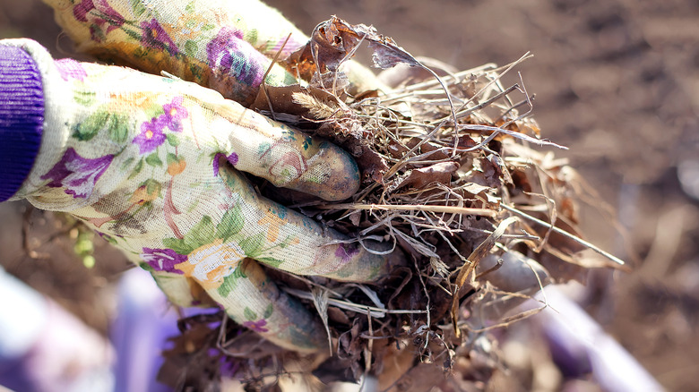 gloved hands and garden clean up