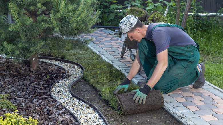landscaper laying turf
