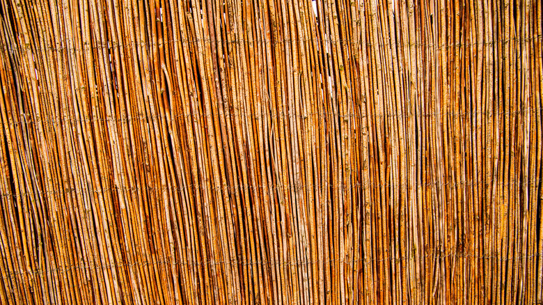 brown reed fence
