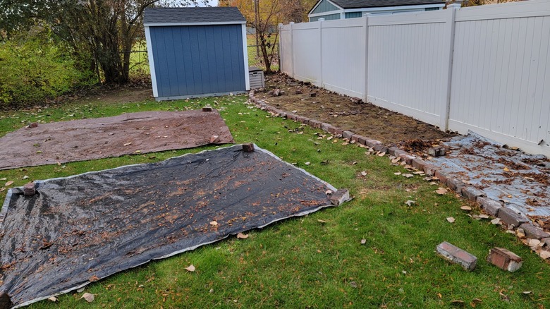 tarp used smother grass lawn
