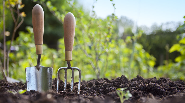 tools in garden