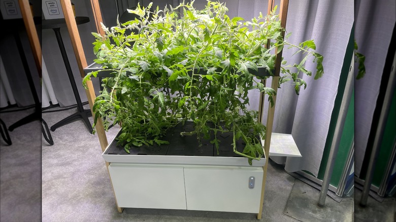 rise gardens indoor gardening system