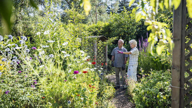 A man and woman stand next to each other while looking at a naturalized garden in bloom