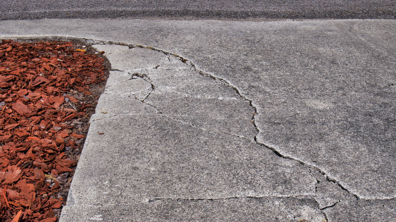 cracked concrete driveway 