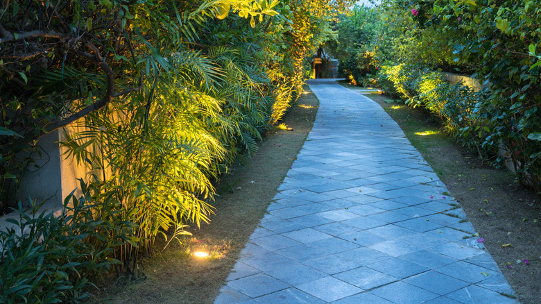 inground lights beside garden path