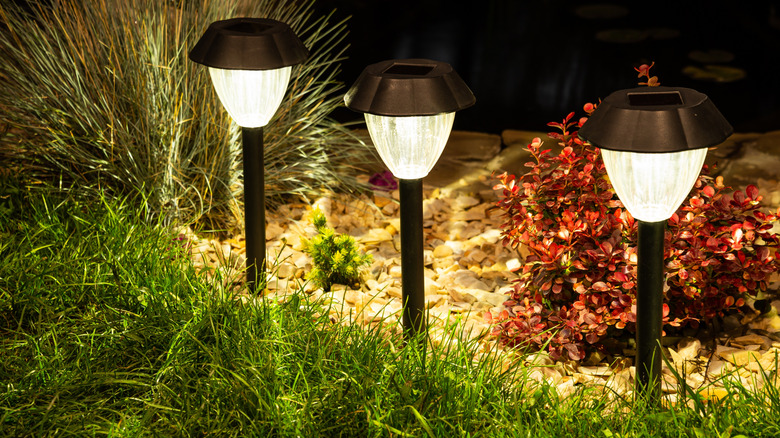 Solar-powered stake lights in garden