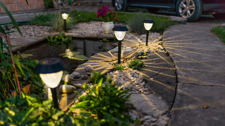 Path lights along garden walkway