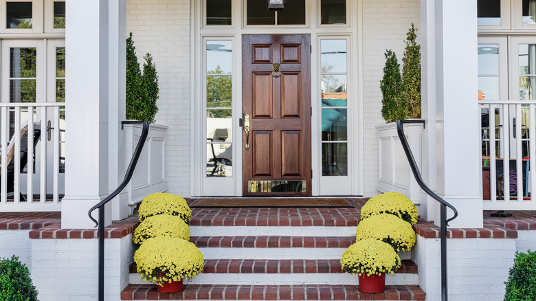 Entryway with plants on stairs