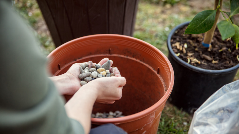 adding gravel to the bottom of the pot