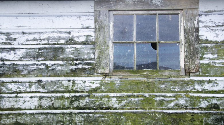 moldy house exterior 