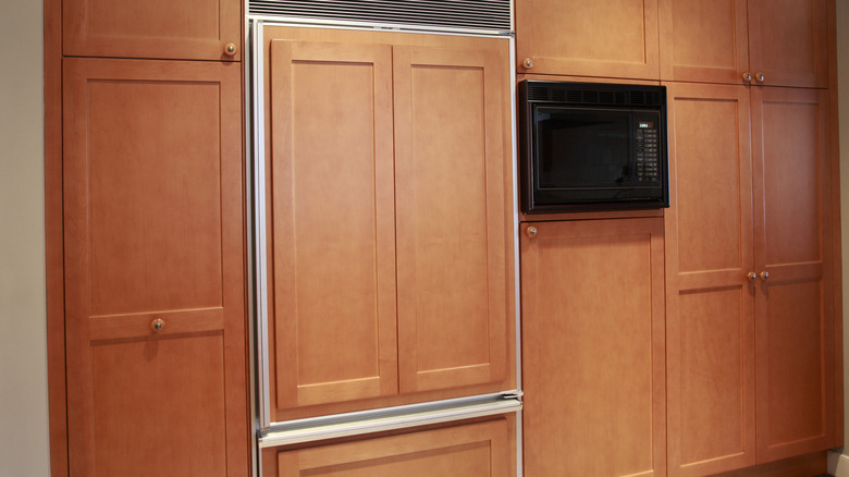 Modern kitchen with wood paneled appliances