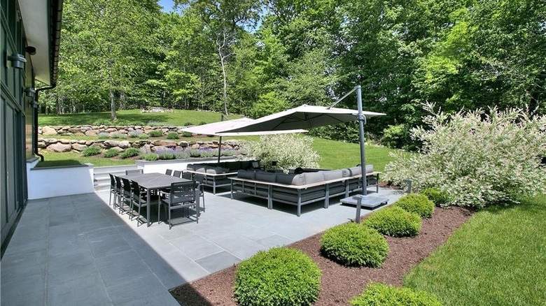 Back patio and trees