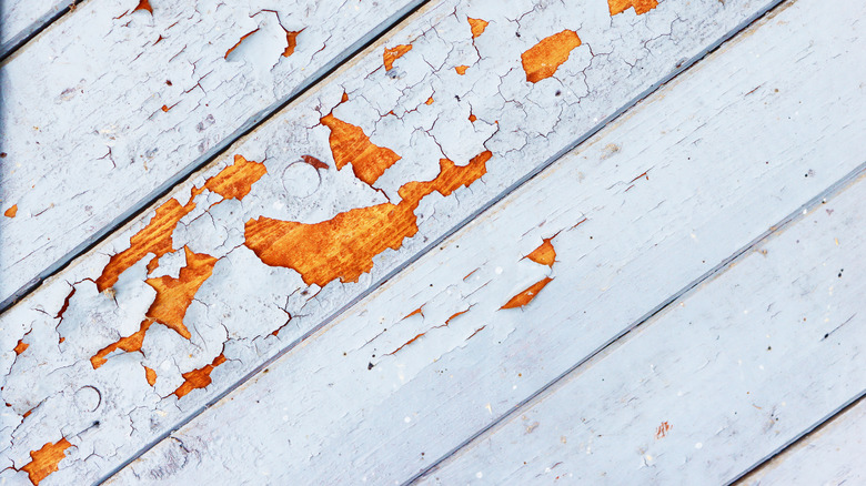 wall paint peeling and cracking