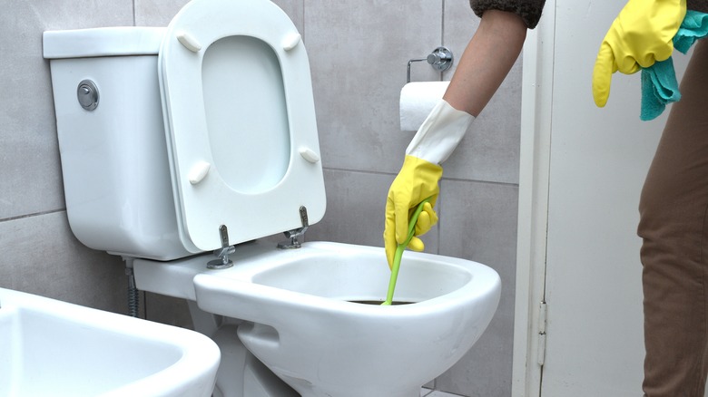 person cleaning toilet