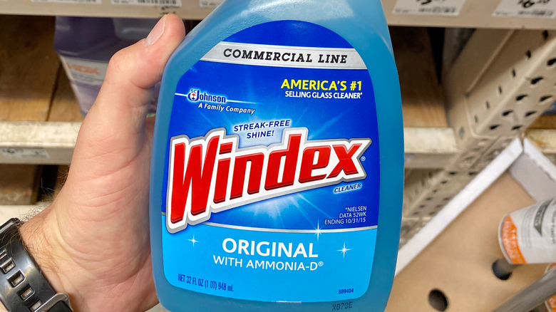 windex bottle