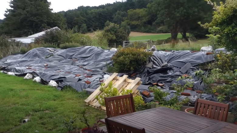 garden covered with black tarp