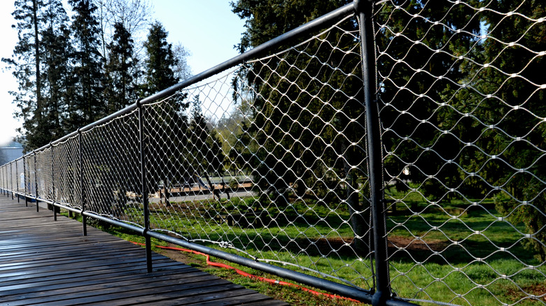 A black chain link fence encloses the backyard of a residential home.