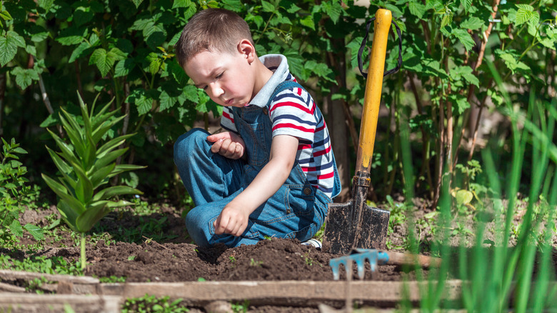 child in a garden