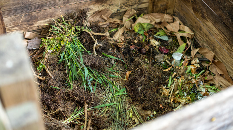 Organic garden compost