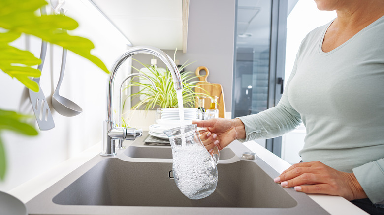 Filling jug with tap water