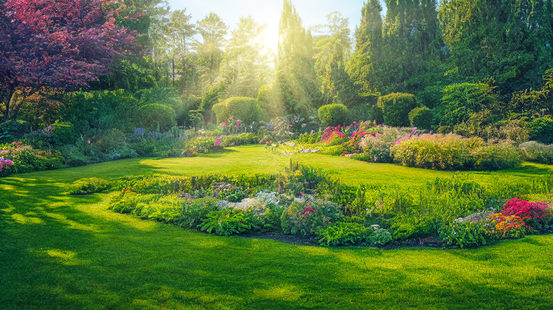 beautifully landscaped lawn