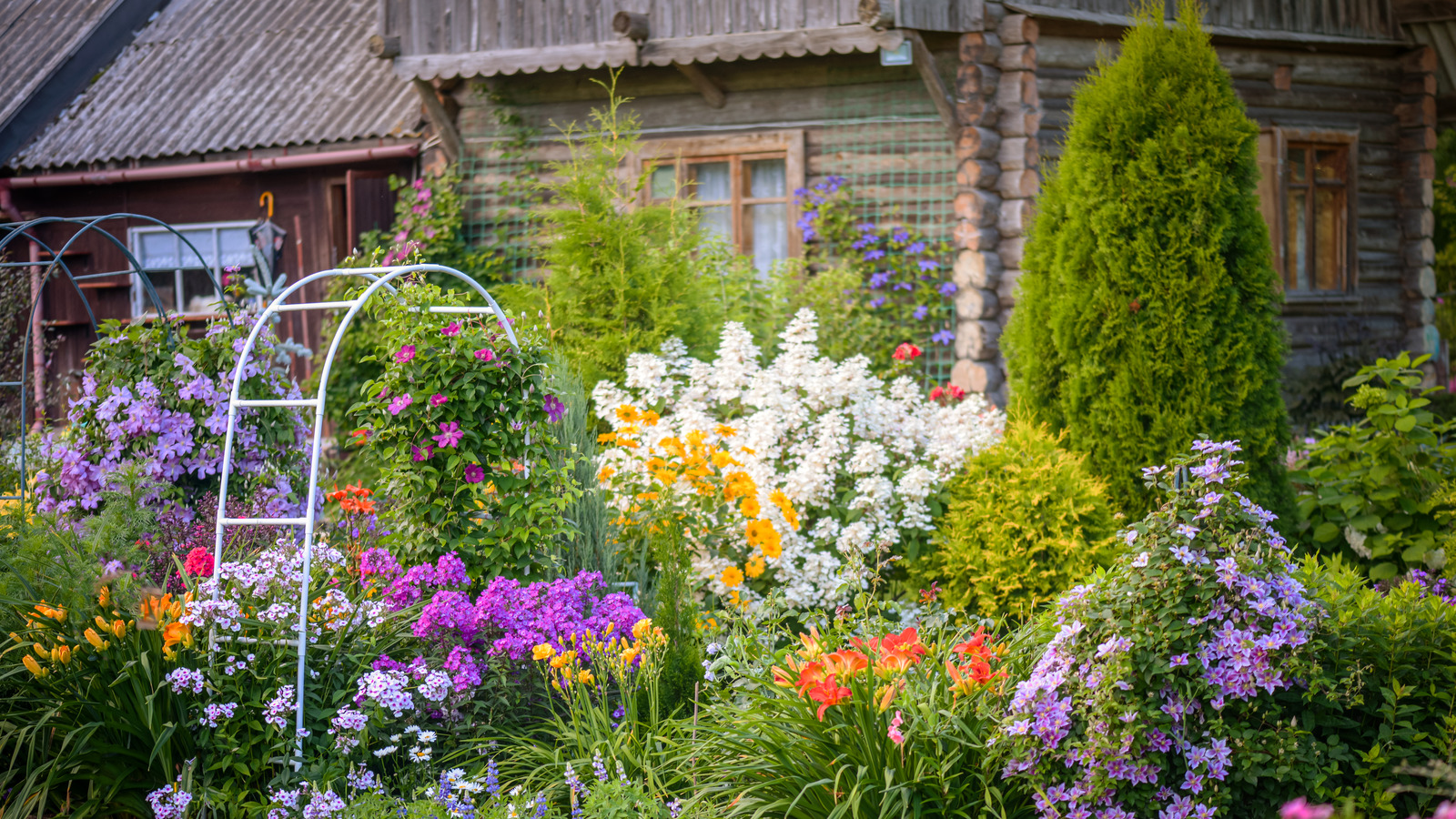 Planting This Shrub Too Close To Your Home May Be A Recipe For Disaster