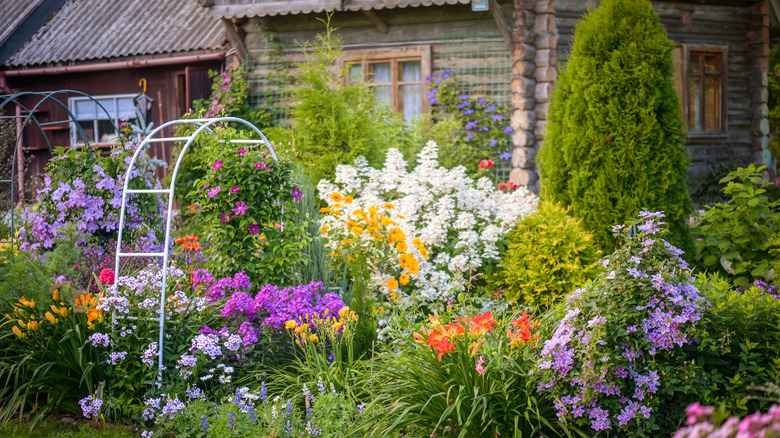 Lush home garden 