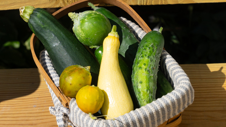 A basket with zucchini and sqaush in the garden