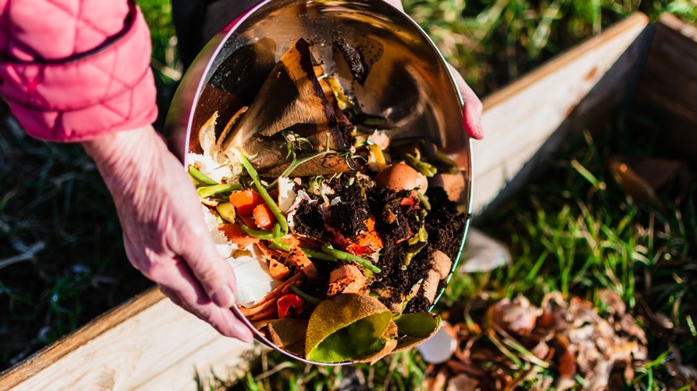 compost bin including coffee grounds